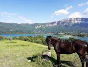 Lodge luxe et spa avec  sur le Lac Aiguebelette, Savoie - 19