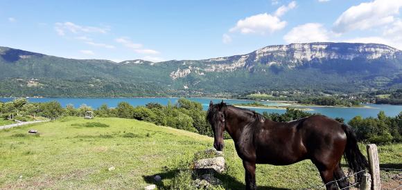 Bulle avec vue sur le lac et spa privé, Savoie