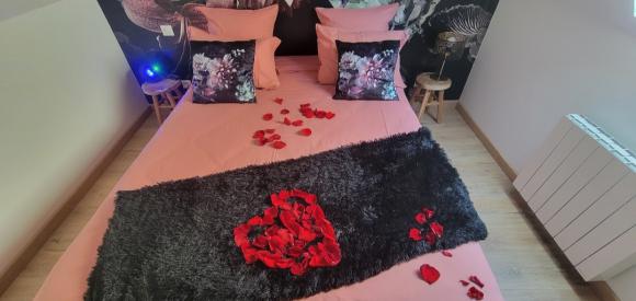 Appartement avec Jacuzzi, sofa tantra, Seine Maritime