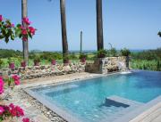 Villa coloniale et moderne, piscine privée à débordement sur les Caraïbes, Guadeloupe - 1