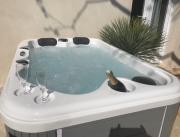 Mazet avec jacuzzi privatif et piscine, Uzes - 5